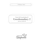 CROSSBOUNDARY 2 - SCENA 2 DI SYNECDOCHISM II for tenor recorder solo [Digitale]